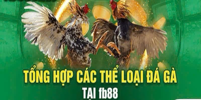 Những thể loại có tại đá gà Fb88